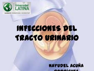INFECCIONES DEL
TRACTO URINARIO
Nayudel Acuña
 