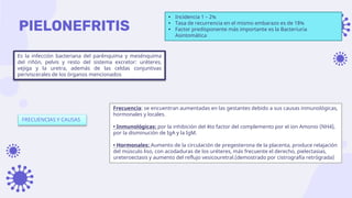 PIELONEFRITIS
Es la infección bacteriana del parénquima y mesénquima
del riñón, pelvis y resto del sistema excretor: uréteres,
vejiga y la uretra, además de las celdas conjuntivas
periviscerales de los órganos mencionados
• Incidencia 1 – 2%
• Tasa de recurrencia en el mismo embarazo es de 18%
• Factor predisponente más importante es la Bacteriuria
Asintomática
FRECUENCIAS Y CAUSAS
Frecuencia: se encuentran aumentadas en las gestantes debido a sus causas inmunológicas,
hormonales y locales.
• Inmunológicas: por la inhibición del 4to factor del complemento por el ion Amonio (NH4),
por la disminución de IgA y la IgM.
• Hormonales: Aumento de la circulación de pregesterona de la placenta, produce relajación
del músculo liso, con acodaduras de los uréteres, más frecuente el derecho, pielectasias,
ureteroectasis y aumento del reflujo vesicouretral.(demostrado por cistrografía retrógrada)
 