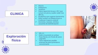CLINICA
 Disuria
 Polaquiuria
 Tenesmo
 Fiebre (aparición brusca >39 C que
cursan con picos y suelen ceder tras
48h tto.
 Escalofríos que sugieren bacteremia
 Dolor lumbar uni-bilateral que se
irradia por trayecto ureteral
 Anorexias, nauseas, vómitos,
causantes de deshidratación
Exploración
física
• PPL (+)
• Dolor a la presión en ambas
fosas iliacas y en fondo de sacos
vaginales
• Tacto vaginal por posible
amenaza de parto prematuro
concominante
 