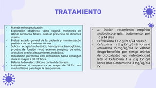 TRATAMIENTO
- Manejo en hospitalización
- Exploración obstétrica: tacto vaginal, monitoreo de
latidos cardiacos fetales, evaluar presencia de dinámica
uterina
- Evaluar estado general de la paciente y monitorización
periódica de las funciones vitales.
- Solicitar: ecografía obstétrica, hemograma, hemoglobina,
pruebas de función renal, examen completo de orina,
urocultivo previo al tratamiento antibiótico.
- Hidratación parenteral con cristaloides hasta conseguir
diuresis mayor a 30 ml/ hora.
- Balance hidro-electrolitico o control de diuresis
- Antipiréticos si temperatura es mayor de 38.5°c, uso
medios físicos para bajar la temperatura.
• A. Iniciar tratamiento empírico
Antibioticoterapia: tratamiento por
10 a 14 días
• Ceftriaxona 1 a 2 g EV c/24 horas ó
• Cefazolina 1 a 2 g EV c/6 - 8 horas ó
Amikacina 15 mg/kg/dia EV, valorar
riesgo-beneficio por riesgo teórico
de ototoxicidad y/o nefrotoxicidad
fetal ó Cefazolina 1 a 2 g EV c/8
horas mas Gentamicina 3 mg/kg/dia
EV.
 