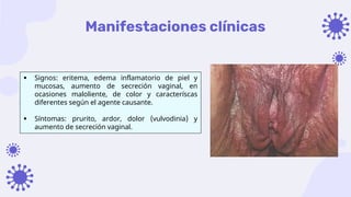 Manifestaciones clínicas
 Signos: eritema, edema inflamatorio de piel y
mucosas, aumento de secreción vaginal, en
ocasiones maloliente, de color y caracteríscas
diferentes según el agente causante.
 Síntomas: prurito, ardor, dolor (vulvodinia) y
aumento de secreción vaginal.
 