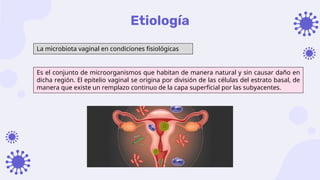 Etiología
La microbiota vaginal en condiciones fisiológicas
Es el conjunto de microorganismos que habitan de manera natural y sin causar daño en
dicha región. El epitelio vaginal se origina por división de las células del estrato basal, de
manera que existe un remplazo continuo de la capa superficial por las subyacentes.
 