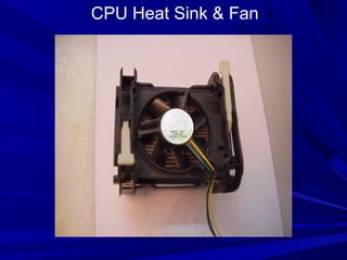 CPU Heat Sink & Fan
 