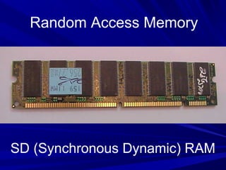 Random Access Memory




SD (Synchronous Dynamic) RAM
 