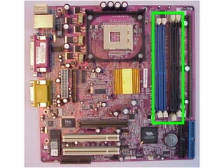 Mother Board
 