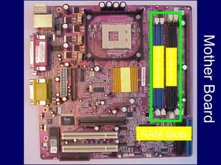 Mother Board
                 RAM Slots


  SD RAM Slots
 DDR RAM Slots
 
