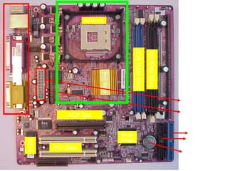 Socket 478




                                                            DDR RAM Slots

                                                                            SD RAM Slots
Ports




                                    North Bridge
                                                                                           ATX Power
                                                                                            Connector
                                                                                           Floppy Drive
                    AGP Slot                                                                Connector


                                                   South                                      Primary
                                                   Bridge                                    Secondary
        BIOS




               PCI Slots
                                                                                            CMOS Battery
 
