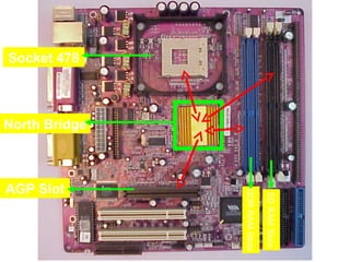 Mother Board
                                 SD RAM Slots
                               DDR RAM Slots
             North Bridge
Socket 478




                            AGP Slot
 