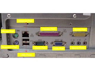 Ports (Front View)

                Ethernet Port


                                       Parallel Port           Game Port
Mouse Port




Keyboard Port                   Serial Port                  Sound Ports
                                                  VGA Port

                  USB Ports
 