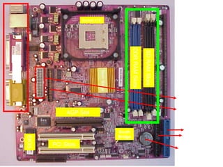Socket 478




                                                            DDR RAM Slots

                                                                            SD RAM Slots
Ports




                                    North Bridge
                                                                                           ATX Power
                                                                                            Connector
                                                                                           Floppy Drive
                    AGP Slot                                                                Connector


                                                   South                                      Primary
                                                   Bridge                                    Secondary
        BIOS




               PCI Slots
                                                                                            CMOS Battery
 