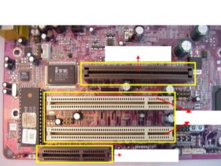 CNR, PCI, AGP Slots

          AGP Slot




                       PCI Slots


            CNR Slot
 