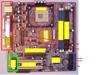Socket 478




                                                            DDR RAM Slots

                                                                            SD RAM Slots
Ports




                                    North Bridge
                                                                                           ATX Power
                                                                                            Connector
                                                                                           Floppy Drive
                    AGP Slot                                                                Connector


                                                   South                                      Primary
                                                   Bridge                                    Secondary
        BIOS




               PCI Slots
                                                                                            CMOS Battery
 