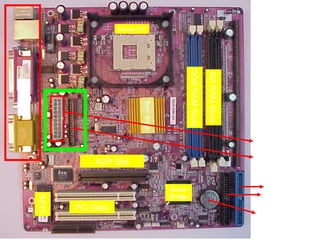 Socket 478




                                                            DDR RAM Slots

                                                                            SD RAM Slots
Ports




                                    North Bridge
                                                                                           ATX Power
                                                                                            Connector
                                                                                           Floppy Drive
                    AGP Slot                                                                Connector


                                                   South                                      Primary
                                                   Bridge                                    Secondary
        BIOS




               PCI Slots
                                                                                            CMOS Battery
 