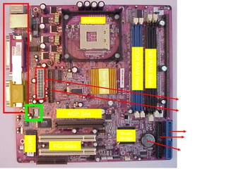 Socket 478




                                                            DDR RAM Slots

                                                                            SD RAM Slots
Ports




                                    North Bridge
                                                                                           ATX Power
                                                                                            Connector
                                                                                           Floppy Drive
                    AGP Slot                                                                Connector


                                                   South                                      Primary
                                                   Bridge                                    Secondary
        BIOS




               PCI Slots
                                                                                            CMOS Battery
 