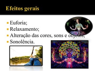  Euforia;
 Relaxamento;
 Alteração das cores, sons e objetos;
 Sonolência.
 