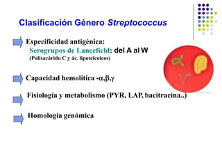 Clasificación Género Streptococcus
Especificidad antigénica:
Serogrupos de Lancefield: del A al W
(Polisacárido C y ác. lipoteicoicos)
Capacidad hemolítica -,,
Fisiología y metabolismo (PYR, LAP, bacitracina..)
Homología genómica
 
