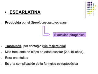 - Trasmitida por contagio (vía respiratoria)
- Más frecuente en niños en edad escolar (2 a 10 años).
- Rara en adultos
- Es una complicación de la faringitis estreptocócica
• ESCARLATINA
- Producida por el Streptococcus pyogenes
Exotoxina pirogénica
 