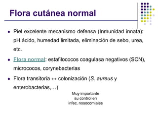 Flora cutánea normal
 Piel excelente mecanismo defensa (Inmunidad innata):
pH ácido, humedad limitada, eliminación de sebo, urea,
etc.
 Flora normal: estafilococos coagulasa negativos (SCN),
micrococos, corynebacterias
 Flora transitoria ↔ colonización (S. aureus y
enterobacterias,…)
Muy importante
su control en
infec. nosocomiales
 