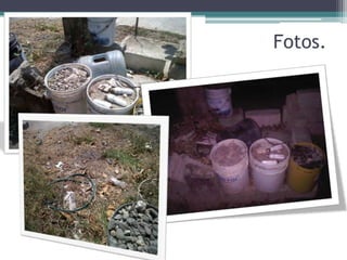 Fotos.
 