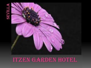 ITZEN Garden hotel

 