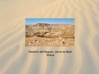 Desierto del Neguev, cerca de Beer Sheva