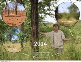 2014
<-­‐-­‐	
  mopani	
  tree
<-­‐-­‐	
  mopani	
  tree
mopani	
  tree-­‐-­‐>
Restored	
  Landscape	
  With
Climax	
  Per...