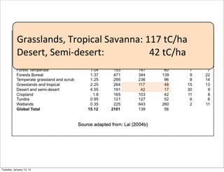 Grasslands,	
  Tropical	
  Savanna:	
  117	
  tC/ha	
  	
  	
  
Desert,	
  Semi-­‐desert:	
  	
  	
  	
  	
  	
  	
  	
  	...
