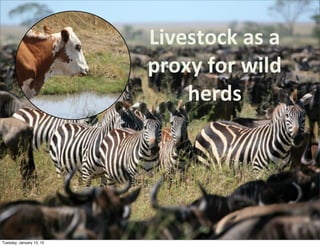 Livestock	
  as	
  a	
  
proxy	
  for	
  wild	
  
herds
Tuesday, January 13, 15
 