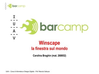 Winscape la finestra sul mondo Carolina Braghin (mat. 268852) IUAV – Corso di Informatica e Disegno Digitale – Prof. Maurizio Galluzzo 