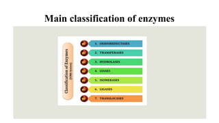 IUB Classification of Enzymes and examples | PPTX
