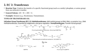 IUB Classification of Enzymes and examples | PPTX