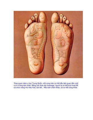 Theo quan niệm y học Trung Quốc, mỗi vùng trên cơ thể đều liên quan đến một
vị trí ở lòng bàn chân. Bằng các thao tác massage, người ta có thể kích hoạt tất
cả chức năng như tiêu hóa, bài tiết... Nếu bàn chân khỏe, cả cơ thể cũng khỏe.
 