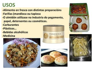 USOS 
-Alimento en fresco con distintas preparacións 
-Fariñas (mandioca ou tapioca 
-O almidón utilízase na industria do pegamento, 
papel, deterxentes ou cosméticos. 
-Carburantes 
-Plásticos… 
-Bebidas alcohólicas 
-Medicina 
 