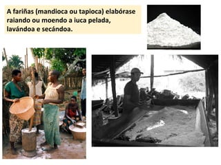 A fariñas (mandioca ou tapioca) elabórase 
raiando ou moendo a iuca pelada, 
lavándoa e secándoa. 
 