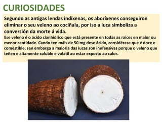 CURIOSIDADES 
Segundo as antigas lendas indíxenas, os aboríxenes conseguiron 
eliminar o seu veleno ao cociñala, por iso a iuca simboliza a 
conversión da morte á vida. 
Ese veleno é o ácido cianhídrico que está presente en todas as raíces en maior ou 
menor cantidade. Cando ten máis de 50 mg dese ácido, considérase que é doce e 
comestible, sen embargo a maioria das iucas son inofensivas porque o veleno que 
teñen e altamente soluble e volatil ao estar exposto ao calor. 
 