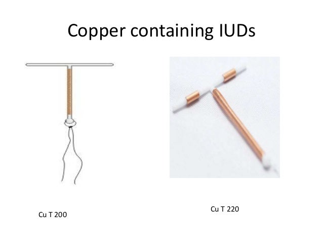 iucd seminar