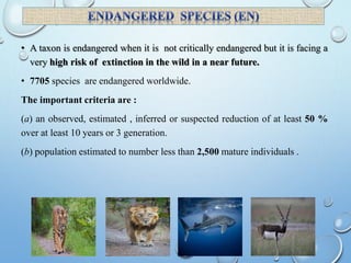 • A taxon is endangered when it is not critically endangered but it is facing a
very high risk of extinction in the wild in a near future.
• 7705 species are endangered worldwide.
The important criteria are :
(a) an observed, estimated , inferred or suspected reduction of at least 50 %
over at least 10 years or 3 generation.
(b) population estimated to number less than 2,500 mature individuals .
 