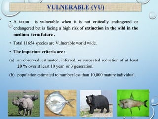 • A taxon is vulnerable when it is not critically endangered or
endangered but is facing a high risk of extinction in the wild in the
medium term future .
• Total 11654 species are Vulnerable world wide.
• The important criteria are :
(a) an observed ,estimated, inferred, or suspected reduction of at least
20 % over at least 10 year or 3 generation.
(b) population estimated to number less than 10,000 mature individual.
 