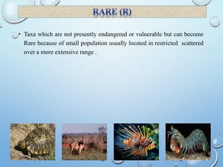 • Taxa which are not presently endangered or vulnerable but can become
Rare because of small population usually located in restricted scattered
over a more extensive range .
 