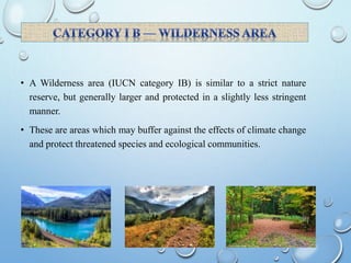 • A Wilderness area (IUCN category IB) is similar to a strict nature
reserve, but generally larger and protected in a slightly less stringent
manner.
• These are areas which may buffer against the effects of climate change
and protect threatened species and ecological communities.
 