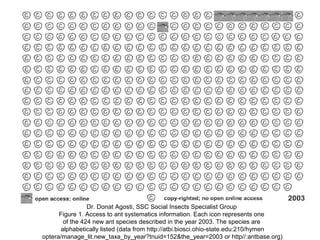 Dr. Donat Agosti, SSC Social Insects Specialist Group
Figure 1. Access to ant systematics information. Each icon represents one
of the 424 new ant species described in the year 2003. The species are
alphabetically listed (data from http://atbi.biosci.ohio-state.edu:210/hymen
optera/manage_lit.new_taxa_by_year?tnuid=152&the_year=2003 or http//:antbase.org)
 