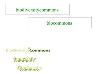 biodiversitycommons
biocommons
 