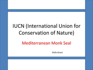 IUCN (International Union for
  Conservation of Nature)
   Mediterranean Monk Seal
                 Shifa Hirani
 
