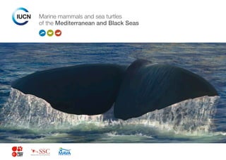 Marine mammals and sea turtles
of the Mediterranean and Black Seas
 