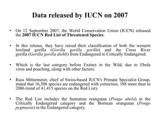 Data released by IUCN on 2007
• On 12 September 2007, the World Conservation Union (IUCN) released
the 2007 IUCN Red List of Threatened Species.
• In this release, they have raised their classification of both the western
lowland gorilla (Gorilla gorilla gorilla) and the Cross River
gorilla (Gorilla gorilla diehli) from Endangered to Critically Endangered.
• Which is the last category before Extinct in the Wild, due to Ebola
virus and poaching, along with other factors.
• Russ Mittermeier, chief of Swiss-based IUCN's Primate Specialist Group,
stated that 16,306 species are endangered with extinction, 188 more than in
2006 (total of 41,415 species on the Red List).
• The Red List includes the Sumatran orangutan (Pongo abelii) in the
Critically Endangered category and the Bornean orangutan (Pongo
pygmaeus) in the Endangered category.
 