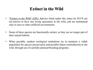Extinct in the Wild
• "Extinct in the Wild" (EW). Species listed under this status by IUCN are
not known to have any living specimens in the wild, and are maintained
only in zoos or other artificial environments.
• Some of these species are functionally extinct, as they are no longer part of
their natural habitat
• When possible, modern zoological institutions try to maintain a viable
population for species preservation and possible future reintroduction to the
wild, through use of carefully planned breeding programs.
 