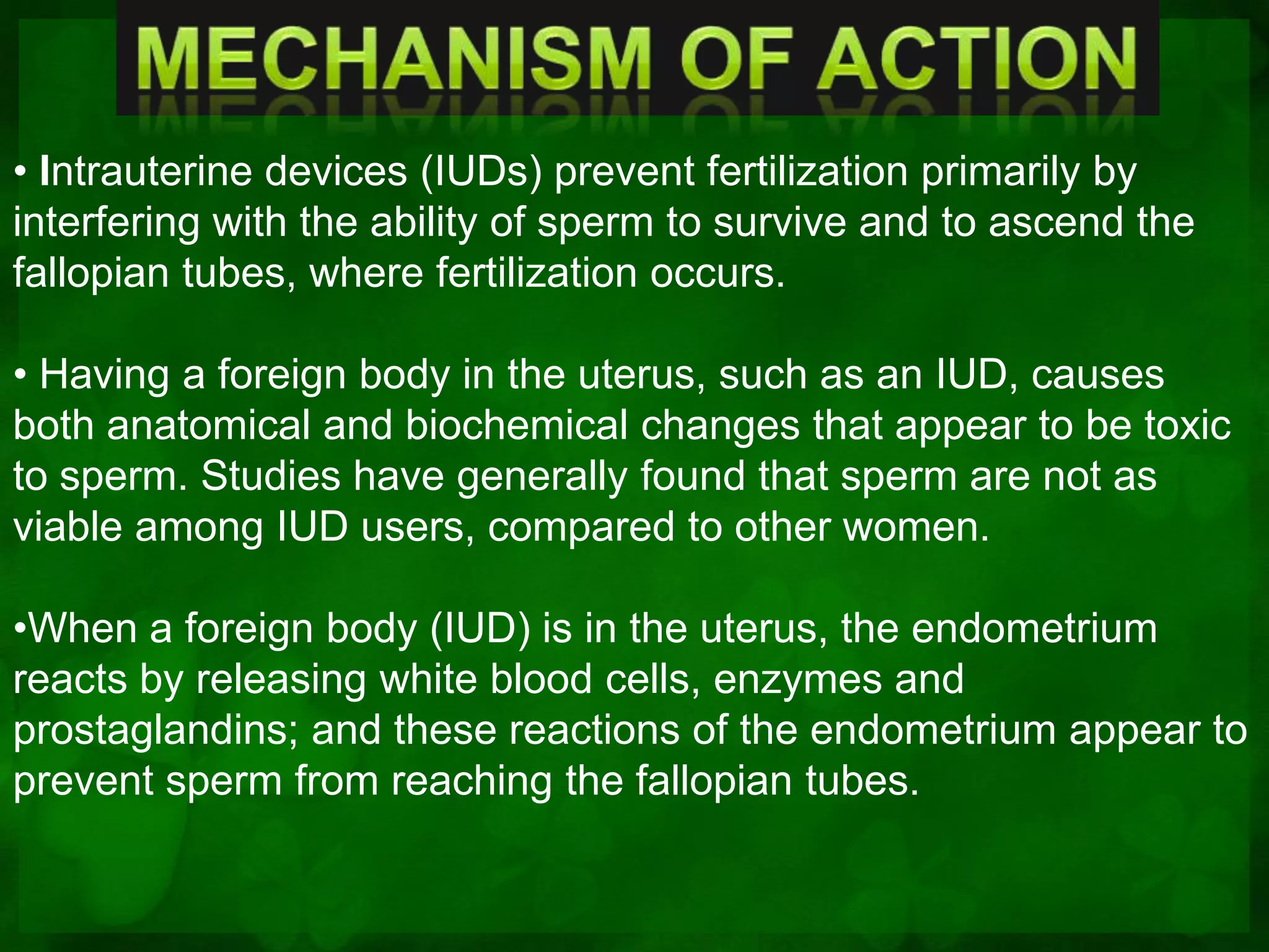 • Intrauterine devices (IUDs) prevent fertilization primarily by
interfering with the ability of sperm to survive and to ascend the
fallopian tubes, where fertilization occurs.

• Having a foreign body in the uterus, such as an IUD, causes
both anatomical and biochemical changes that appear to be toxic
to sperm. Studies have generally found that sperm are not as
viable among IUD users, compared to other women.

•When a foreign body (IUD) is in the uterus, the endometrium
reacts by releasing white blood cells, enzymes and
prostaglandins; and these reactions of the endometrium appear to
prevent sperm from reaching the fallopian tubes.
 