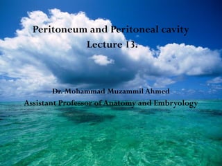 Peritoneum and Peritoneal cavity
Lecture 13.
Dr. Mohammad Muzammil Ahmed
Assistant Professor of Anatomy and Embryology
 