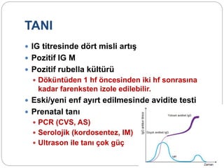 TANI
 IG titresinde dört misli artış
 Pozitif IG M
 Pozitif rubella kültürü
 Döküntüden 1 hf öncesinden iki hf sonrasına
kadar farenksten izole edilebilir.
 Eski/yeni enf ayırt edilmesinde avidite testi
 Prenatal tanı
 PCR (CVS, AS)
 Serolojik (kordosentez, IM)
 Ultrason ile tanı çok güç
 