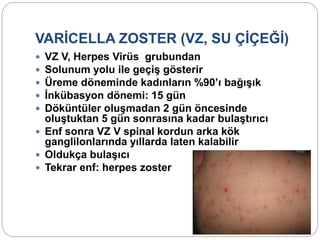 VARİCELLA ZOSTER (VZ, SU ÇİÇEĞİ)
 VZ V, Herpes Virüs grubundan
 Solunum yolu ile geçiş gösterir
 Üreme döneminde kadınların %90’ı bağışık
 İnkübasyon dönemi: 15 gün
 Döküntüler oluşmadan 2 gün öncesinde
oluştuktan 5 gün sonrasına kadar bulaştırıcı
 Enf sonra VZ V spinal kordun arka kök
ganglilonlarında yıllarda laten kalabilir
 Oldukça bulaşıcı
 Tekrar enf: herpes zoster
 